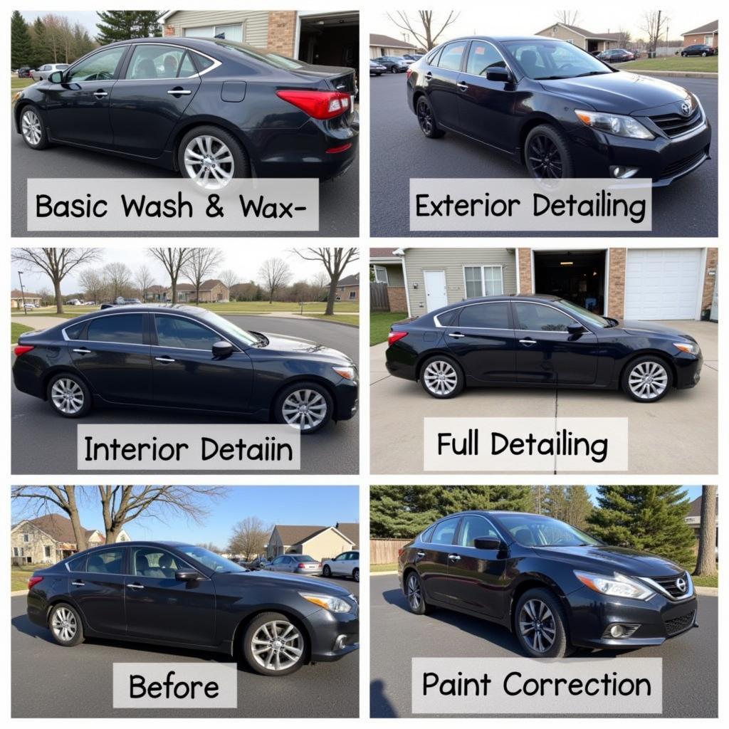 Car Detailing Services in Alexandria VA