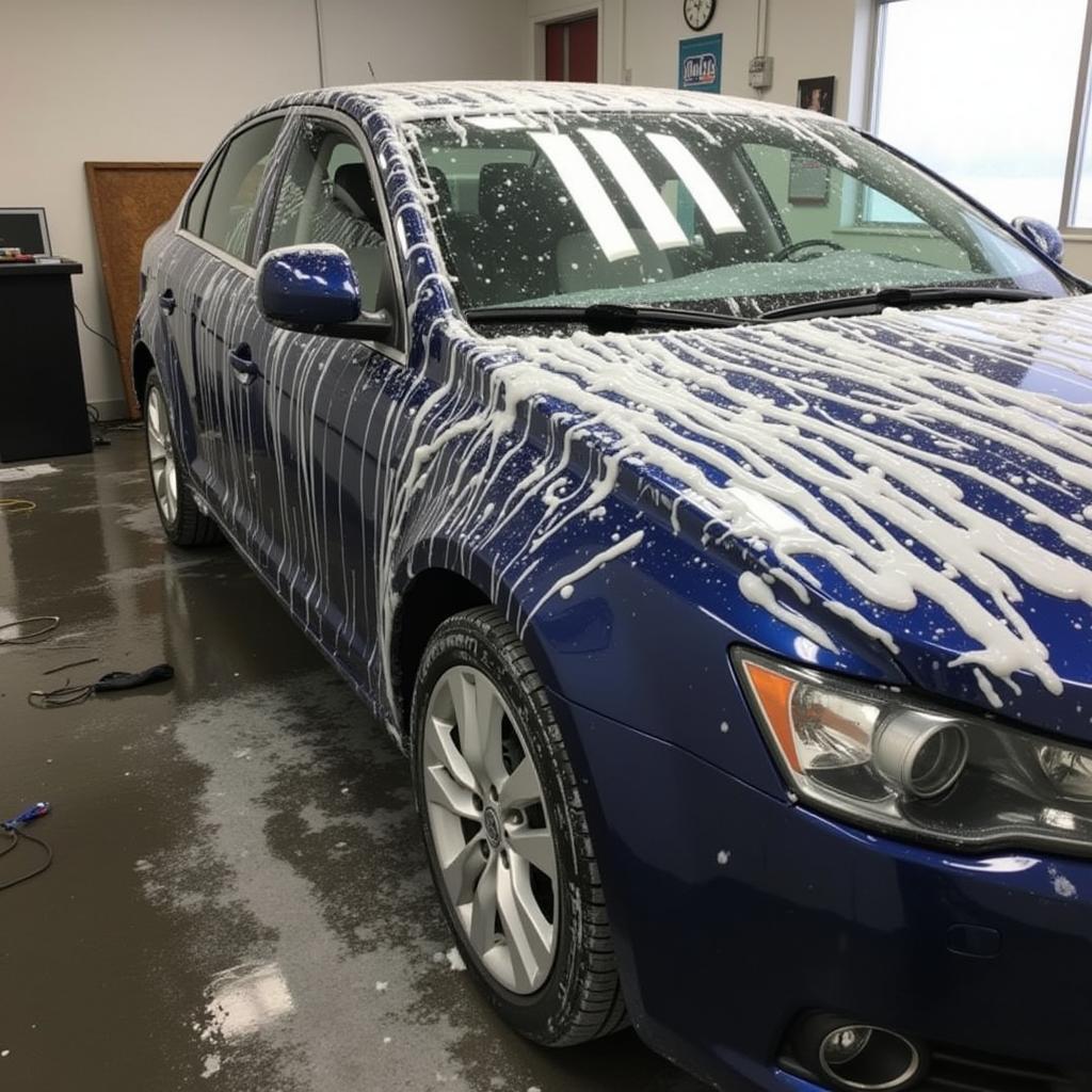 Altamonte Car Detailing Exterior Wash