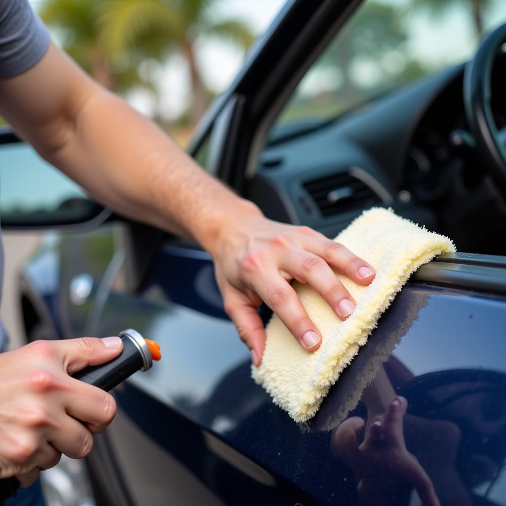 Applying Car Wax in Costa Mesa