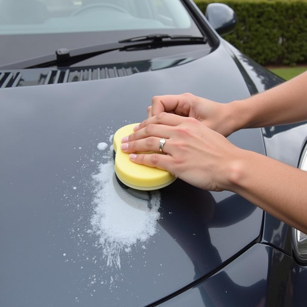 Applying Car Wax for Paint Protection