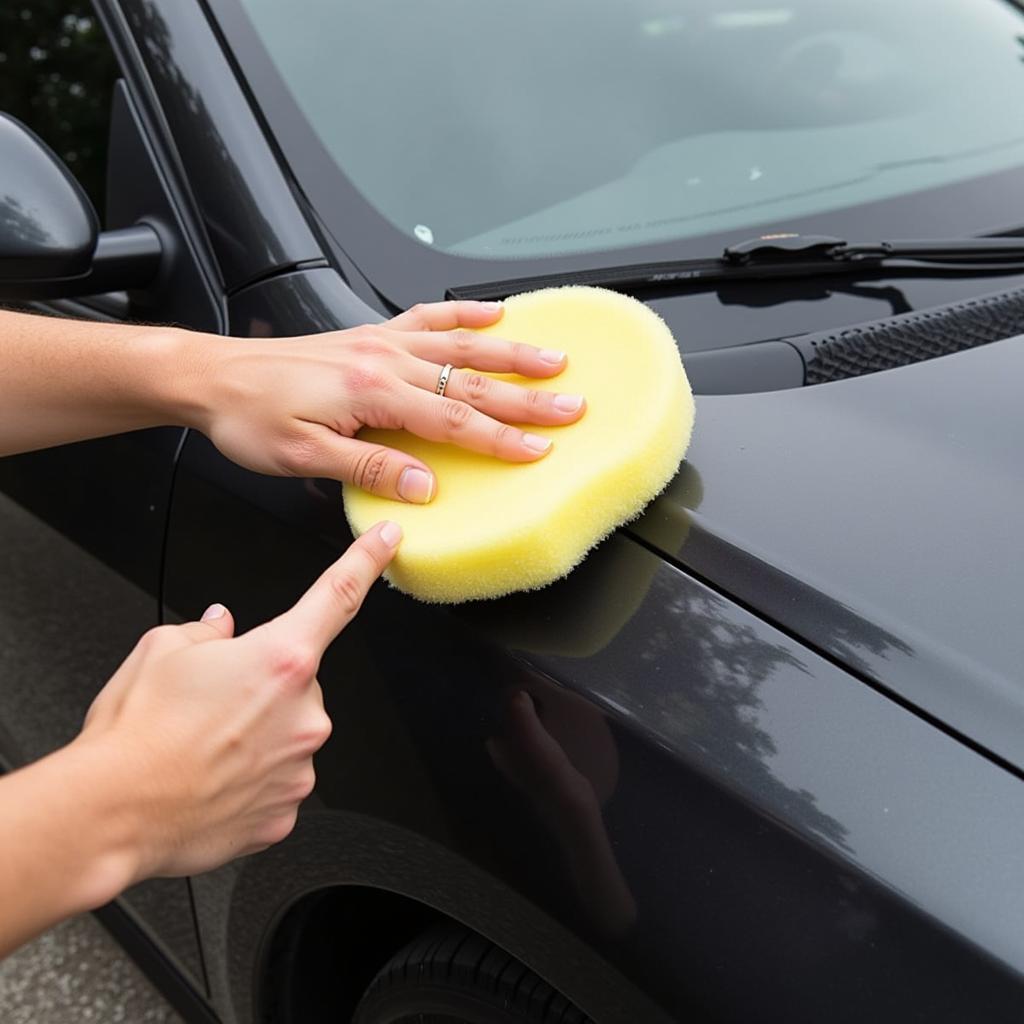 Applying car wax using an applicator pad to protect and shine the paintwork.