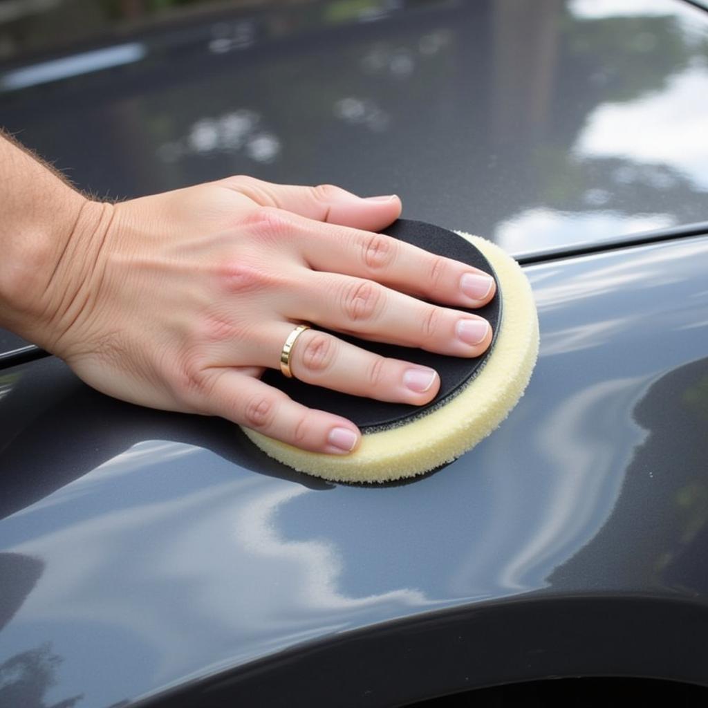 Applying Car Wax