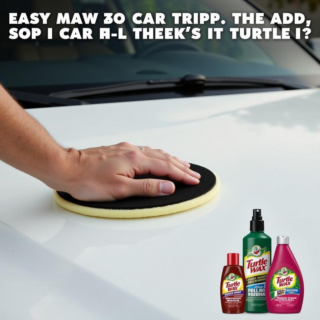 Applying Turtle Wax to a Car's Hood