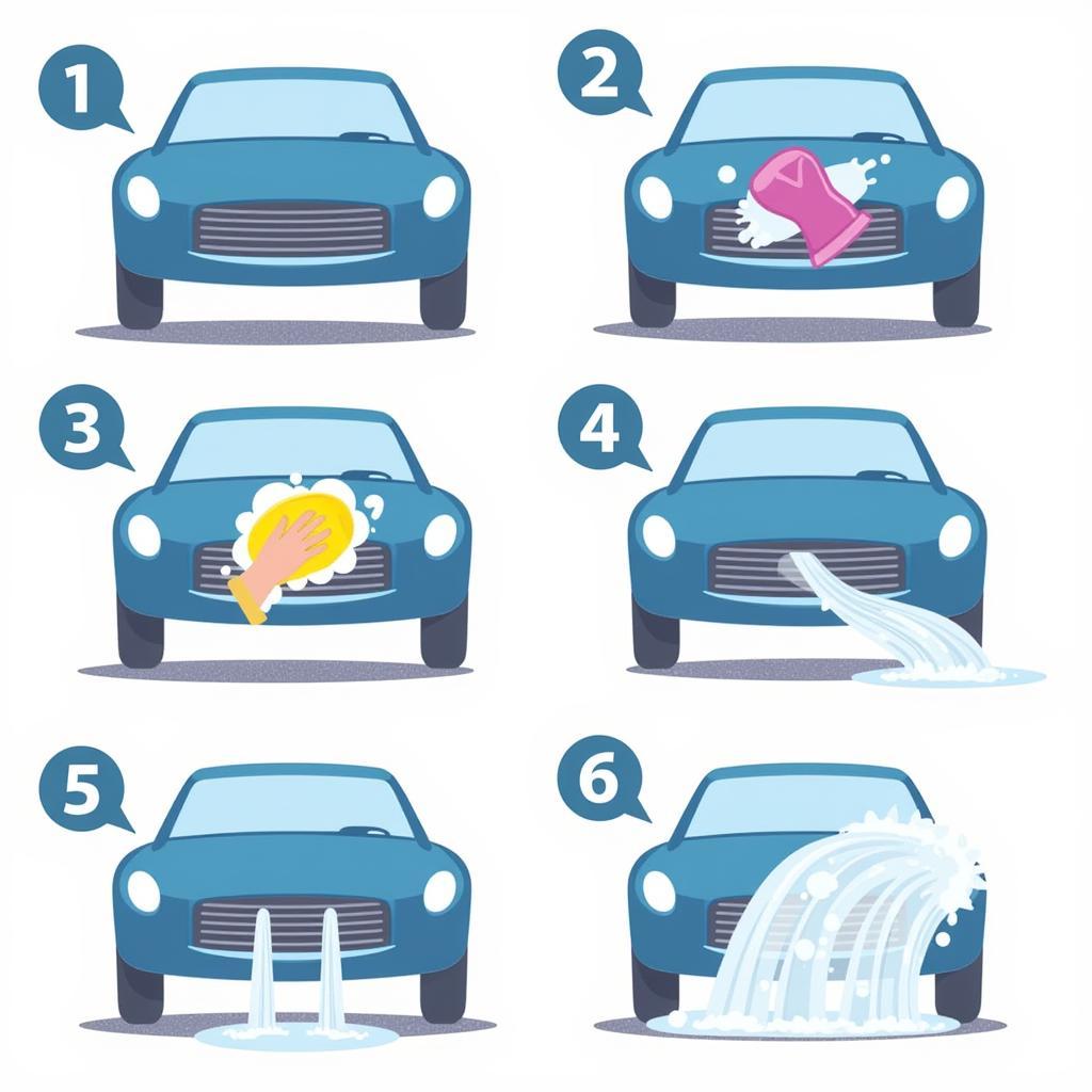 Basic Car Wash Process