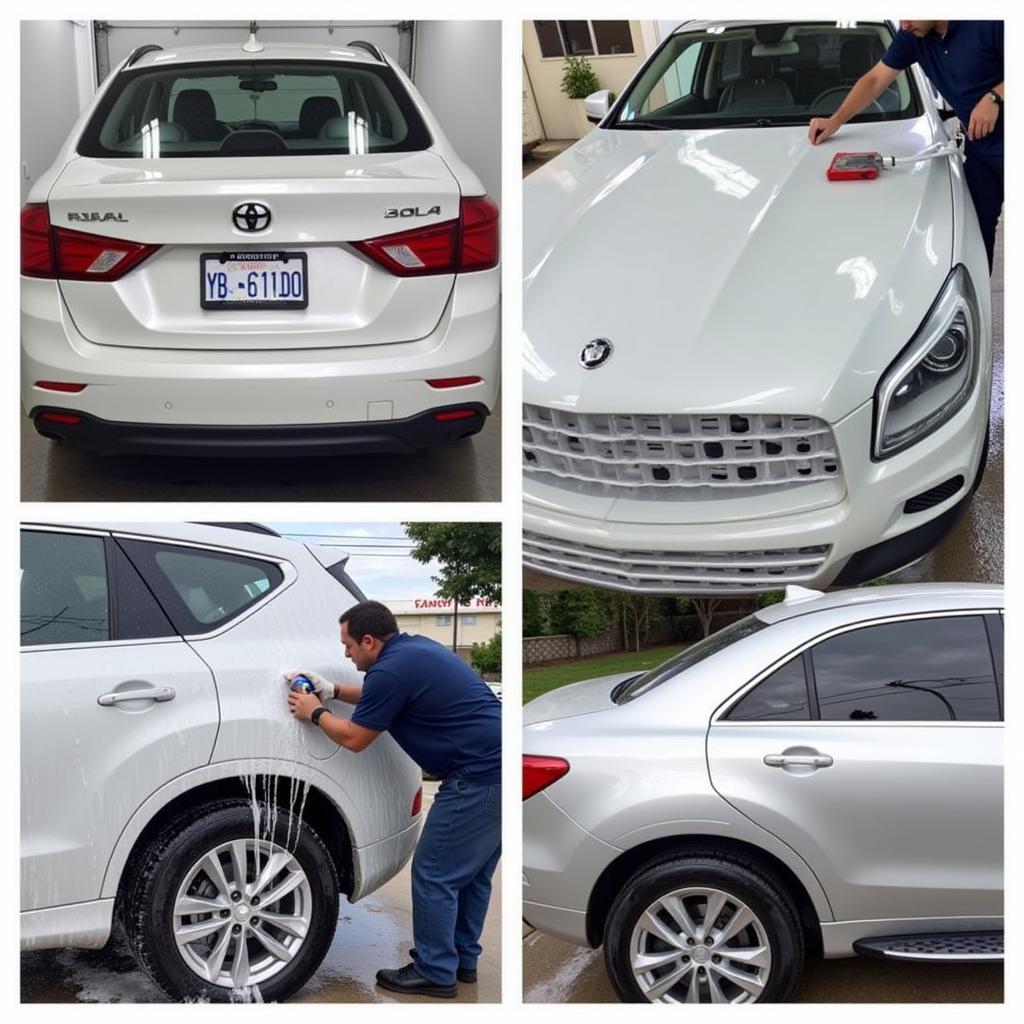 Benny's Car Wash Detail Exterior Cleaning Process