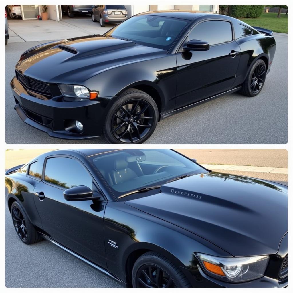 Exterior car detailing in San Marcos showcasing a polished finish.