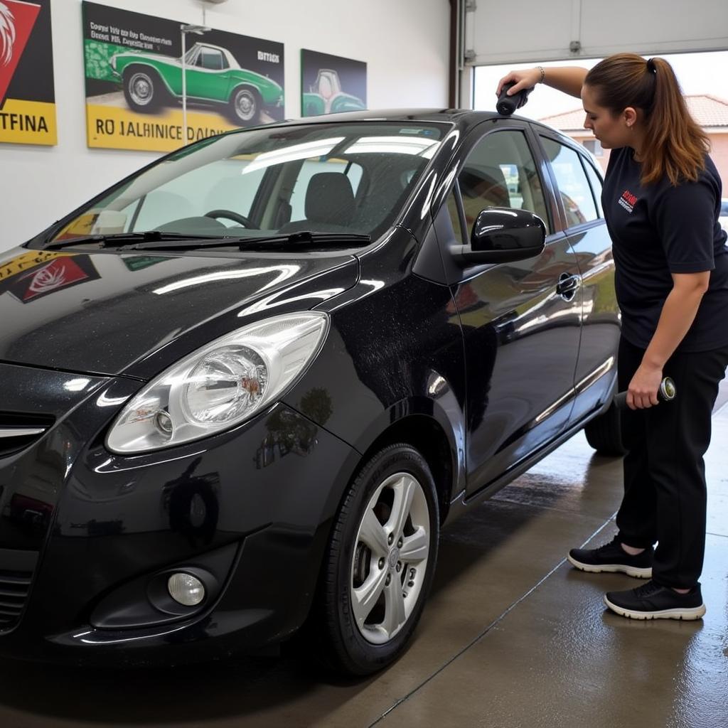 Exterior Car Wash and Waxing in Blacktown