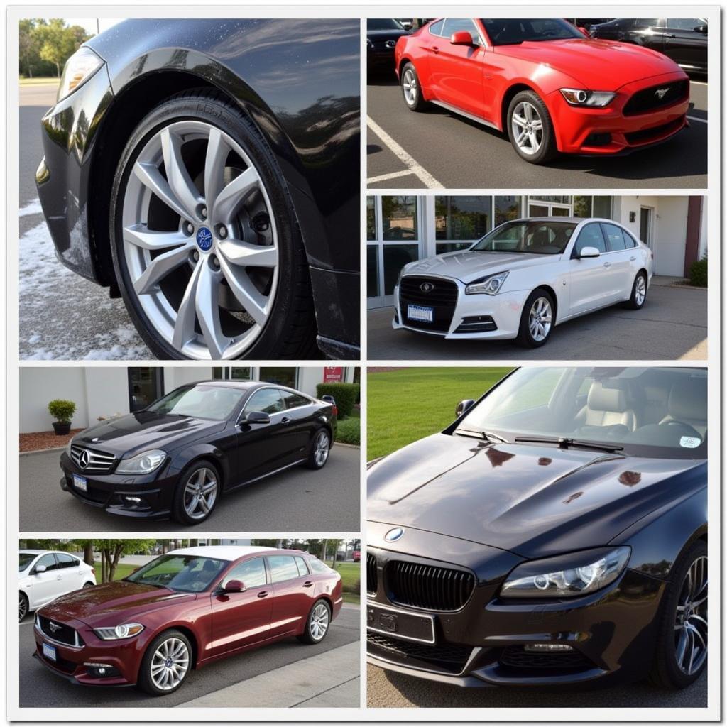 Best Car Detailing Services in Chandler