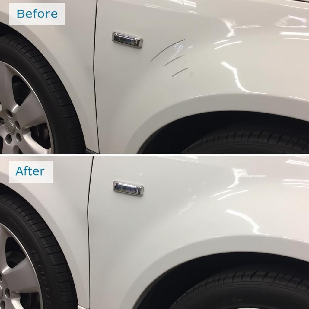 Paint Correction Service in Rhode Island