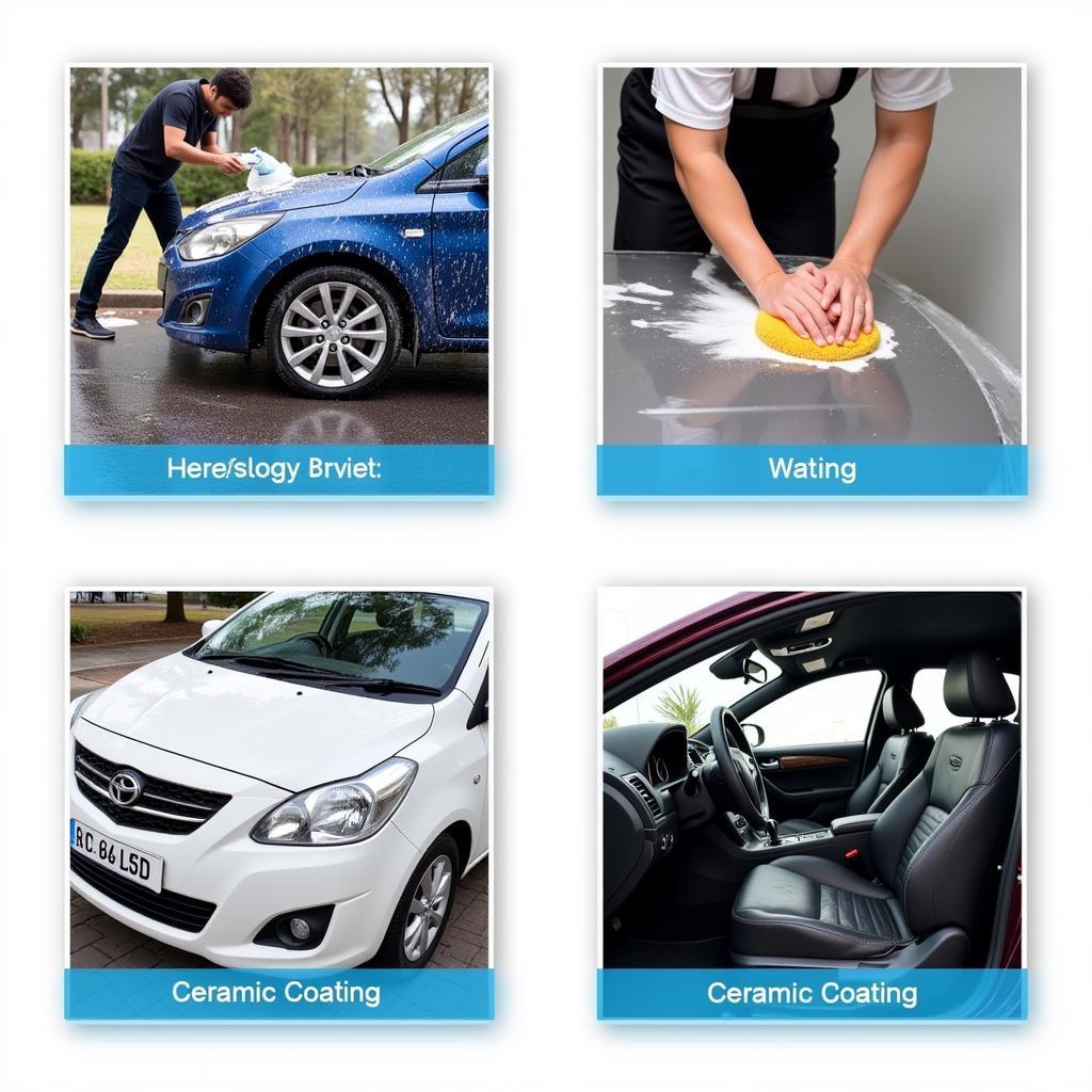 Best Car Detailing in Oakville: Achieve a Showroom Shine