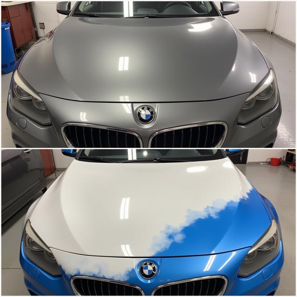 Paint Correction in Bethesda MD