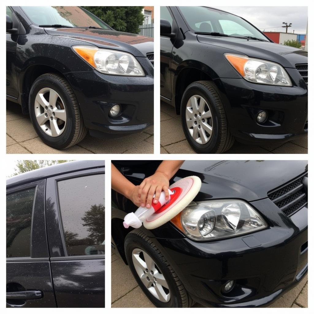 Black Car Detailing Process