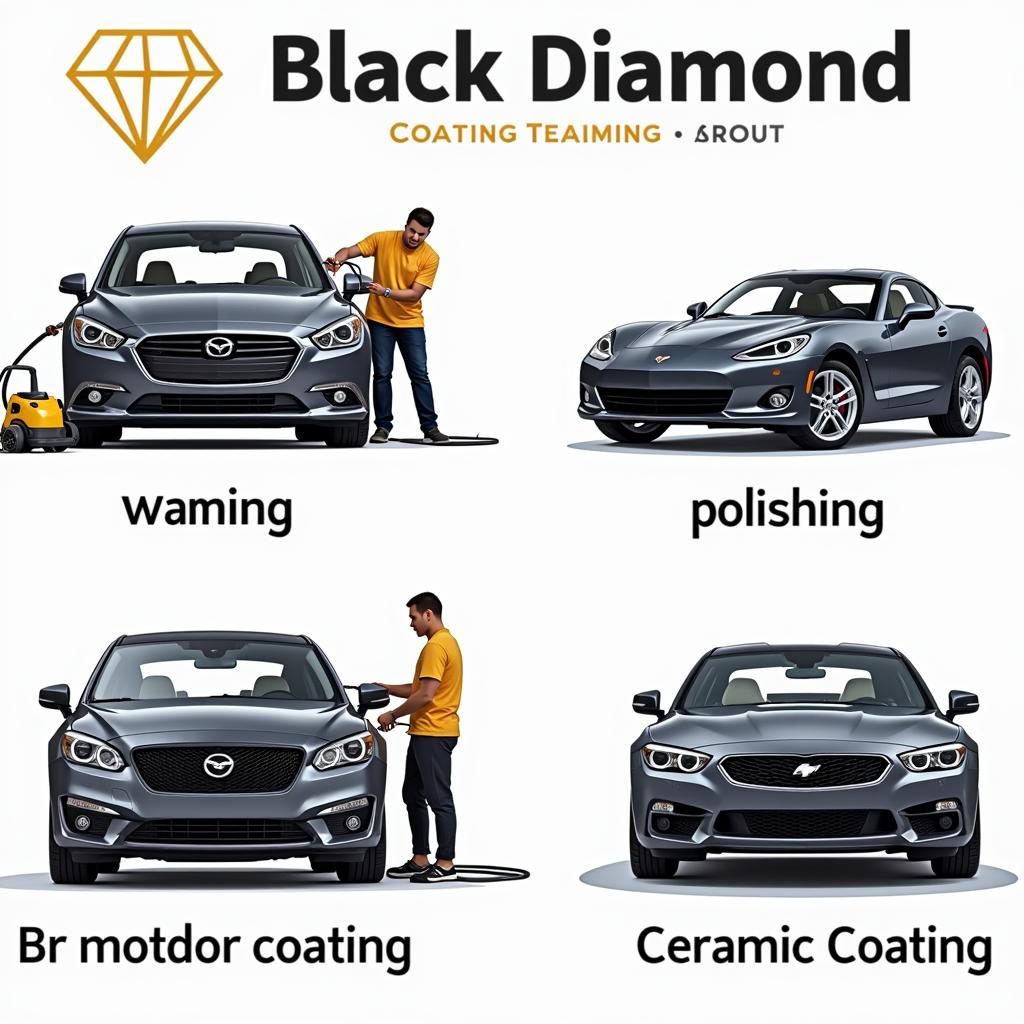 Black Diamond Car Detailing Process in Action