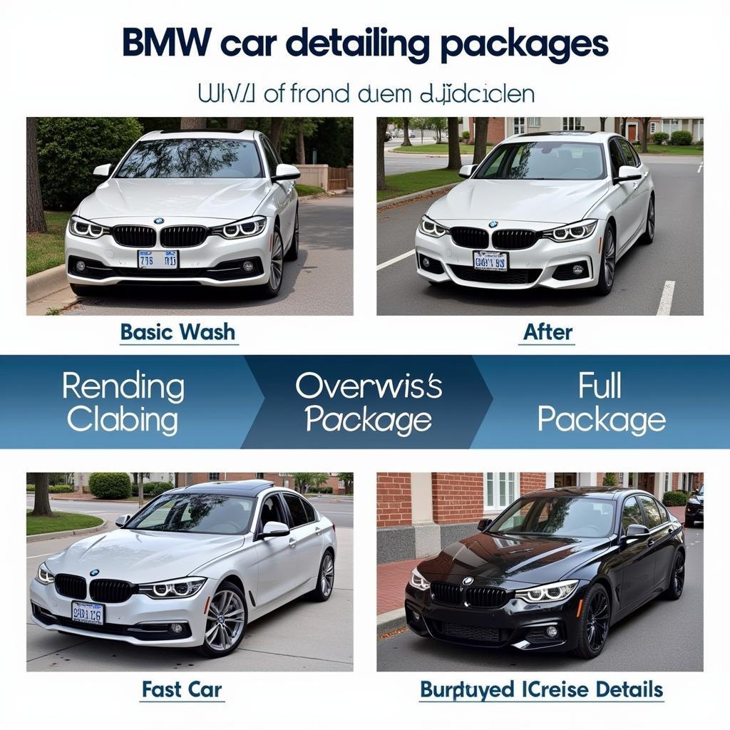 BMW Detailing Packages: Basic Wash, Exterior Detail, Interior Detail, and Full Detail