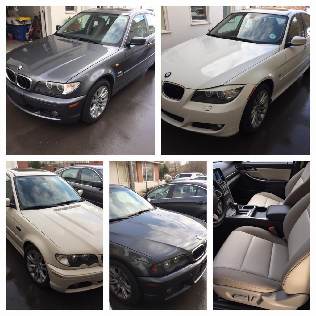 Auto Detailing Services in Brampton