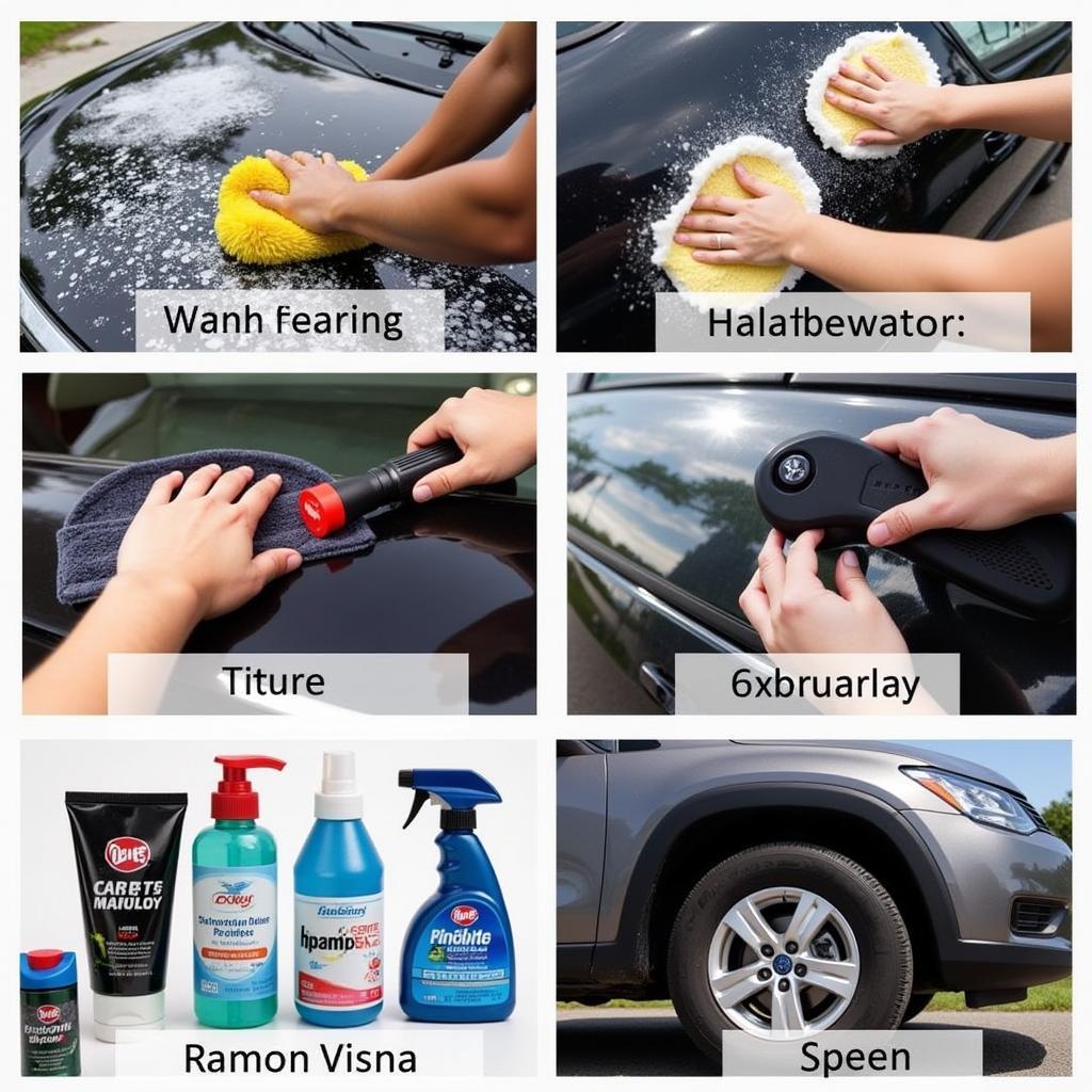 Professional Car Detailing Services in the Bronx