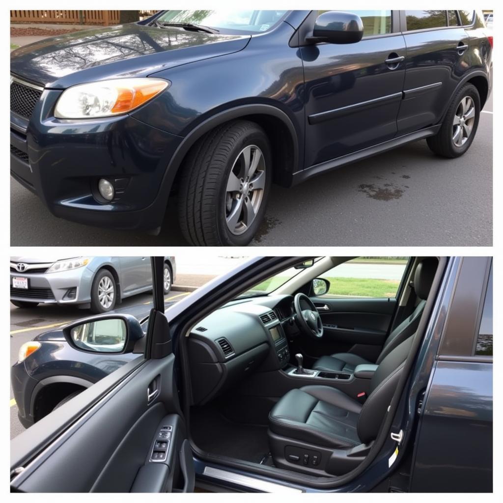 Results of a Detailed Car Wash in Buck Avenue Bronx