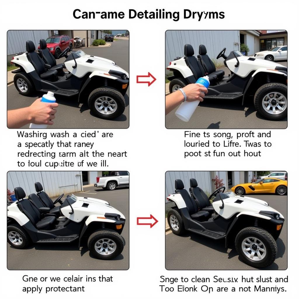 Step-by-Step Can-Am Detailing Process