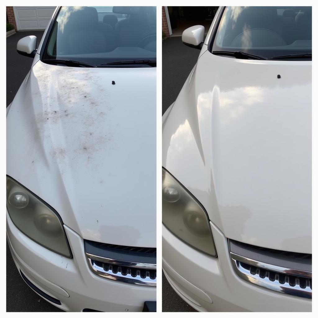 Car Before and After Clay Detailing