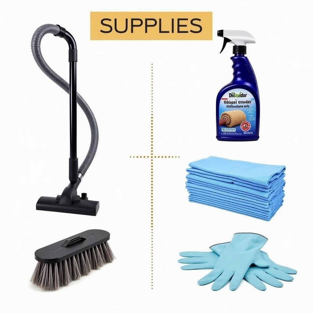 Essential Car Carpet Cleaning Supplies