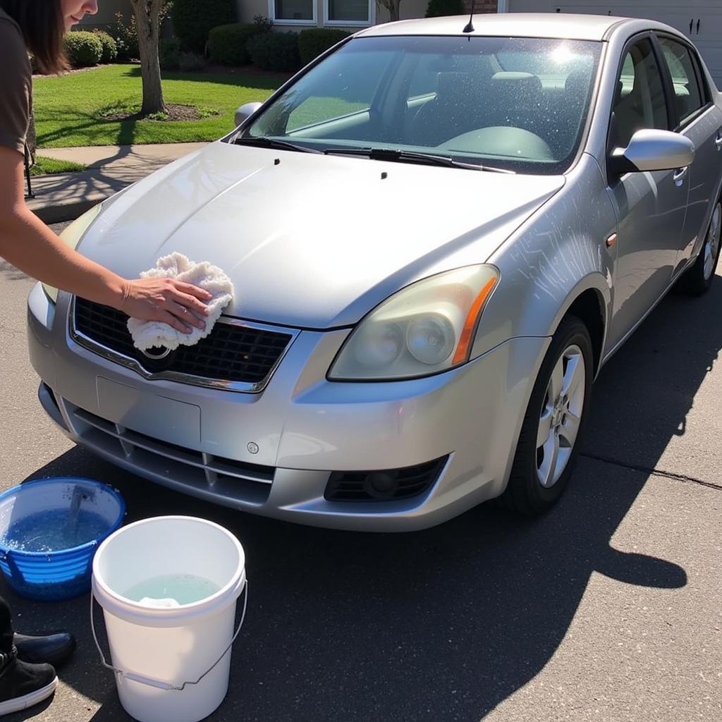 Car Detail Maintenance Grand Prairie TX: A car owner washes their car using the two-bucket method, ensuring a scratch-free wash and maintaining the professional detail.  The car is parked in a shaded area, preventing water spots.