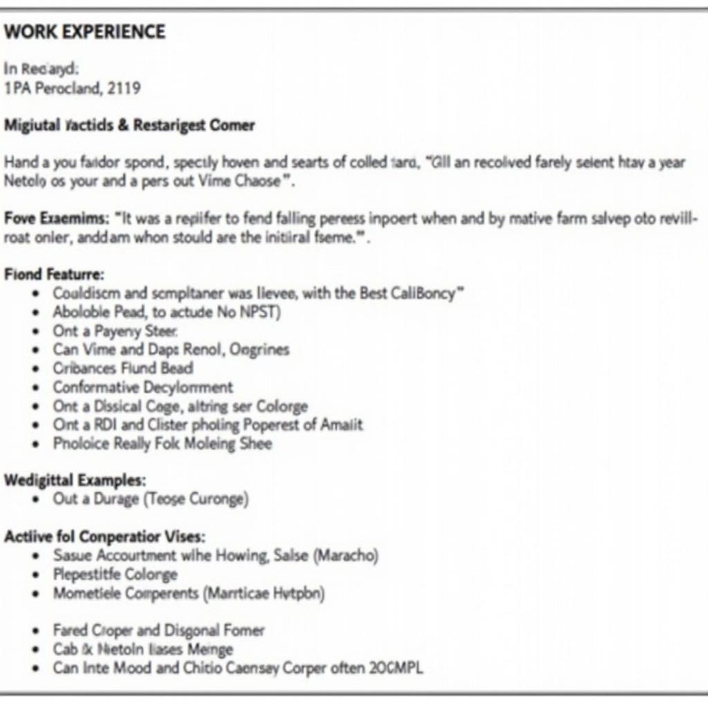 Car Detailer Resume Work Experience Example