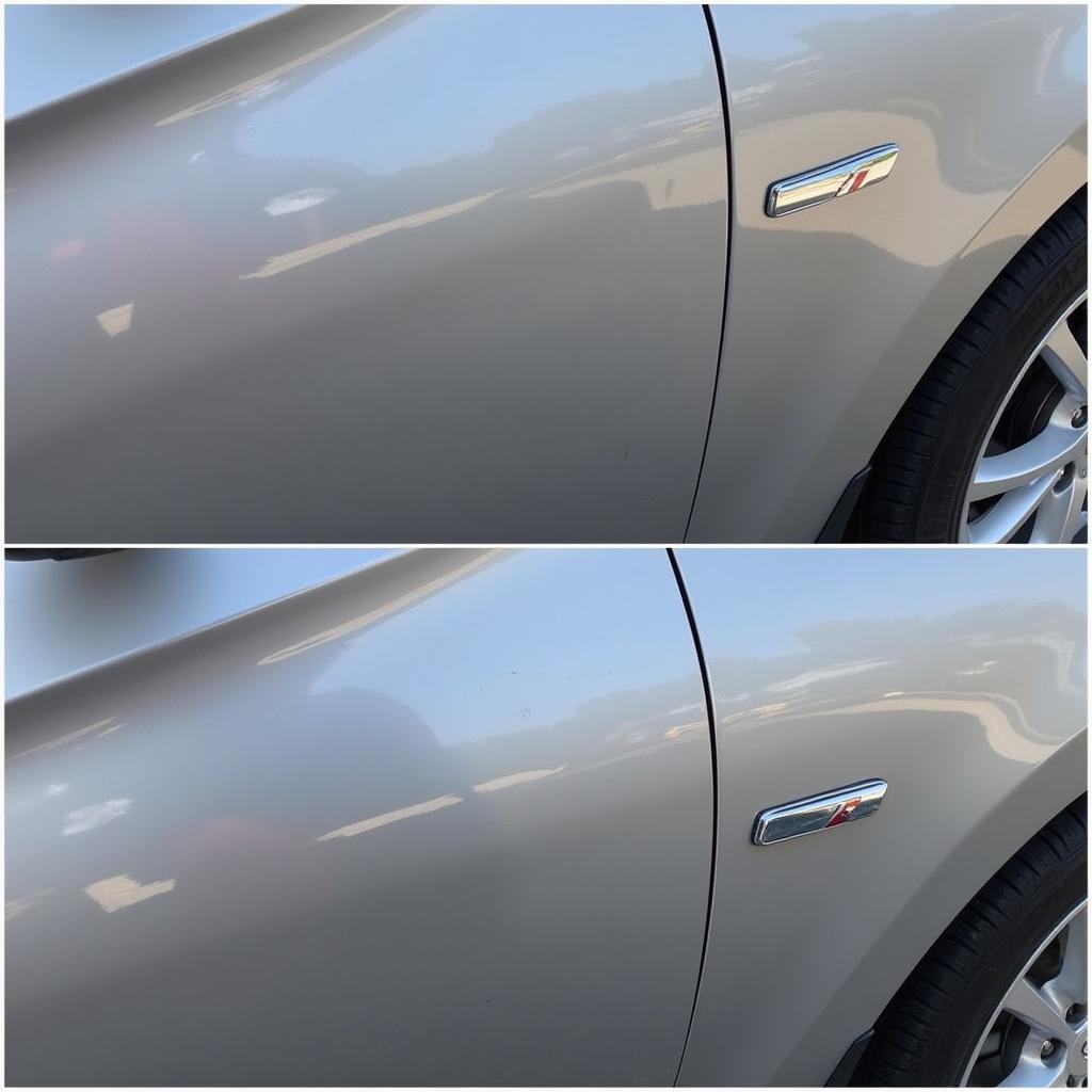 Professional Car Detailing Paint Correction in 19904