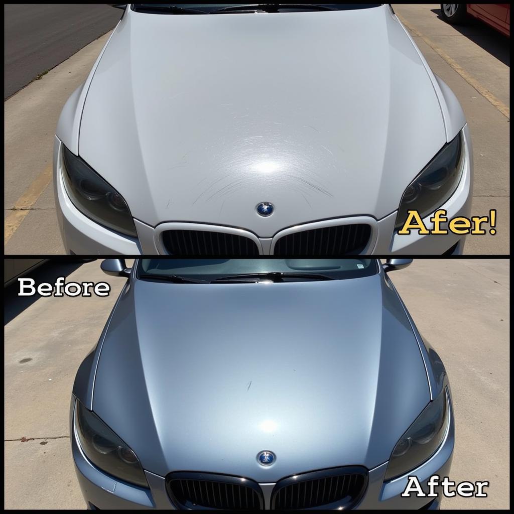 Car Detailing Auto Spa Paint Correction