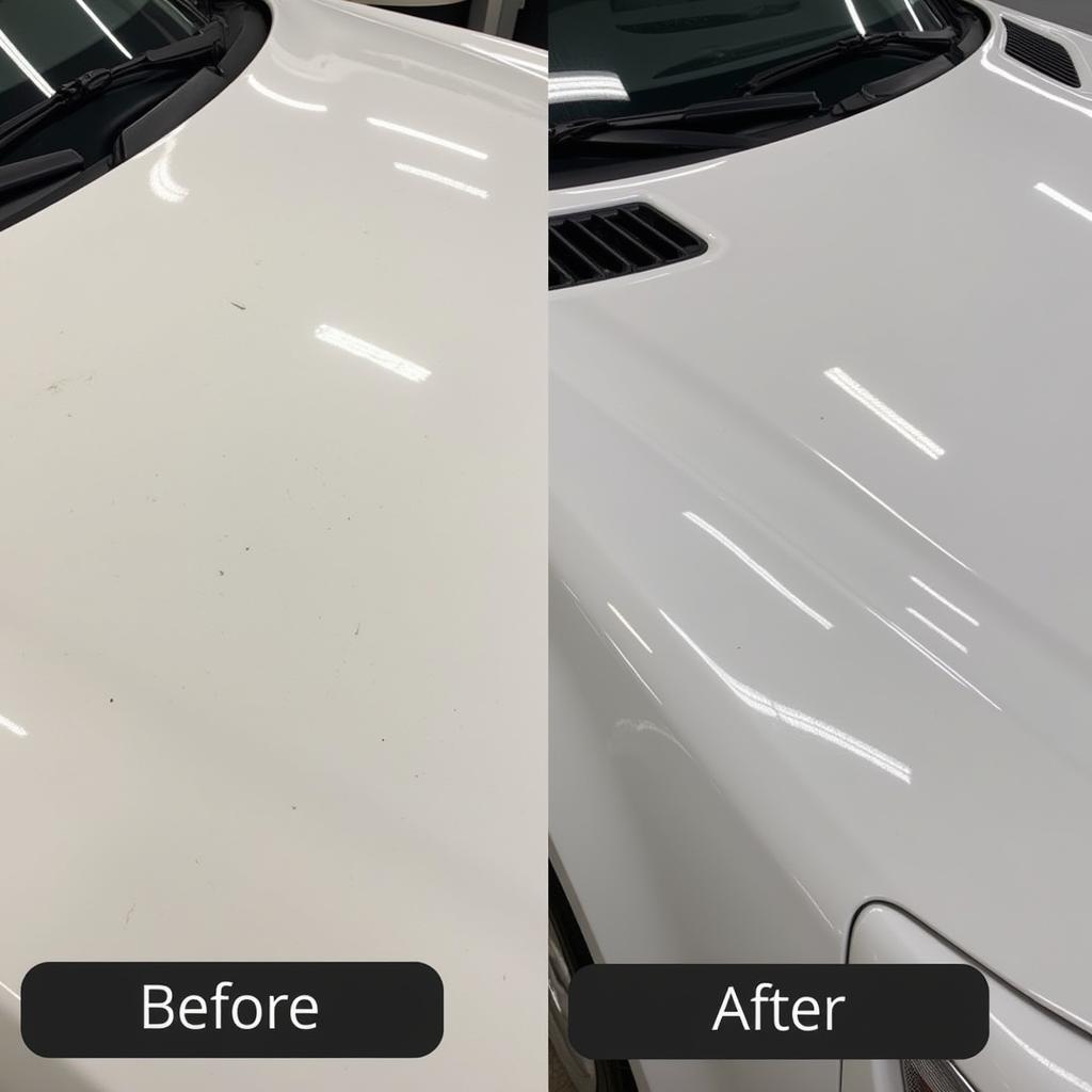 Paint Correction in Ballston Spa NY