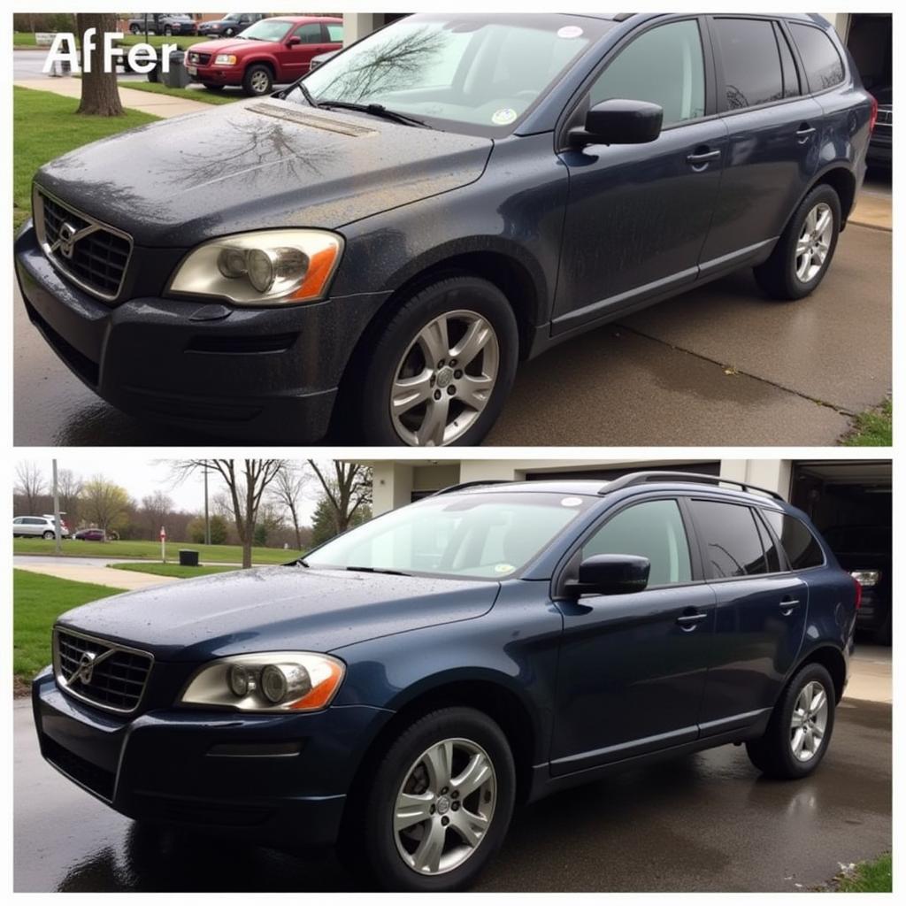 Car Detailing Before & After Transformation