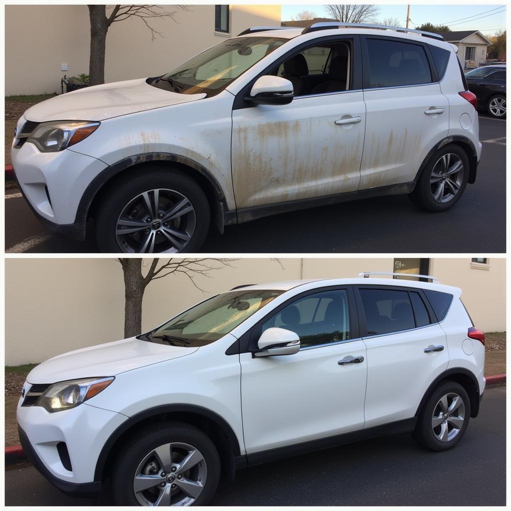 Car Detailing Transformation: Before and After