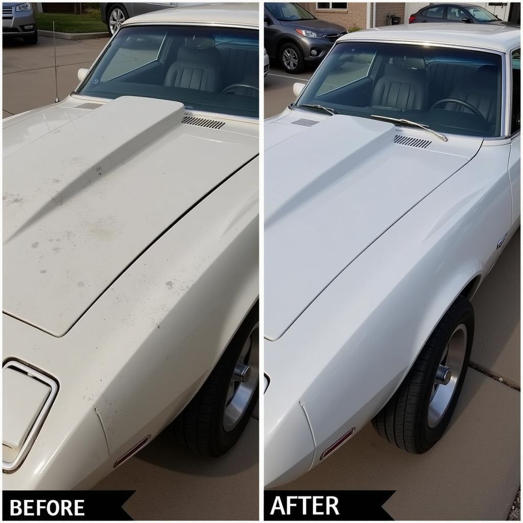 Car Detailing Transformation: Before & After