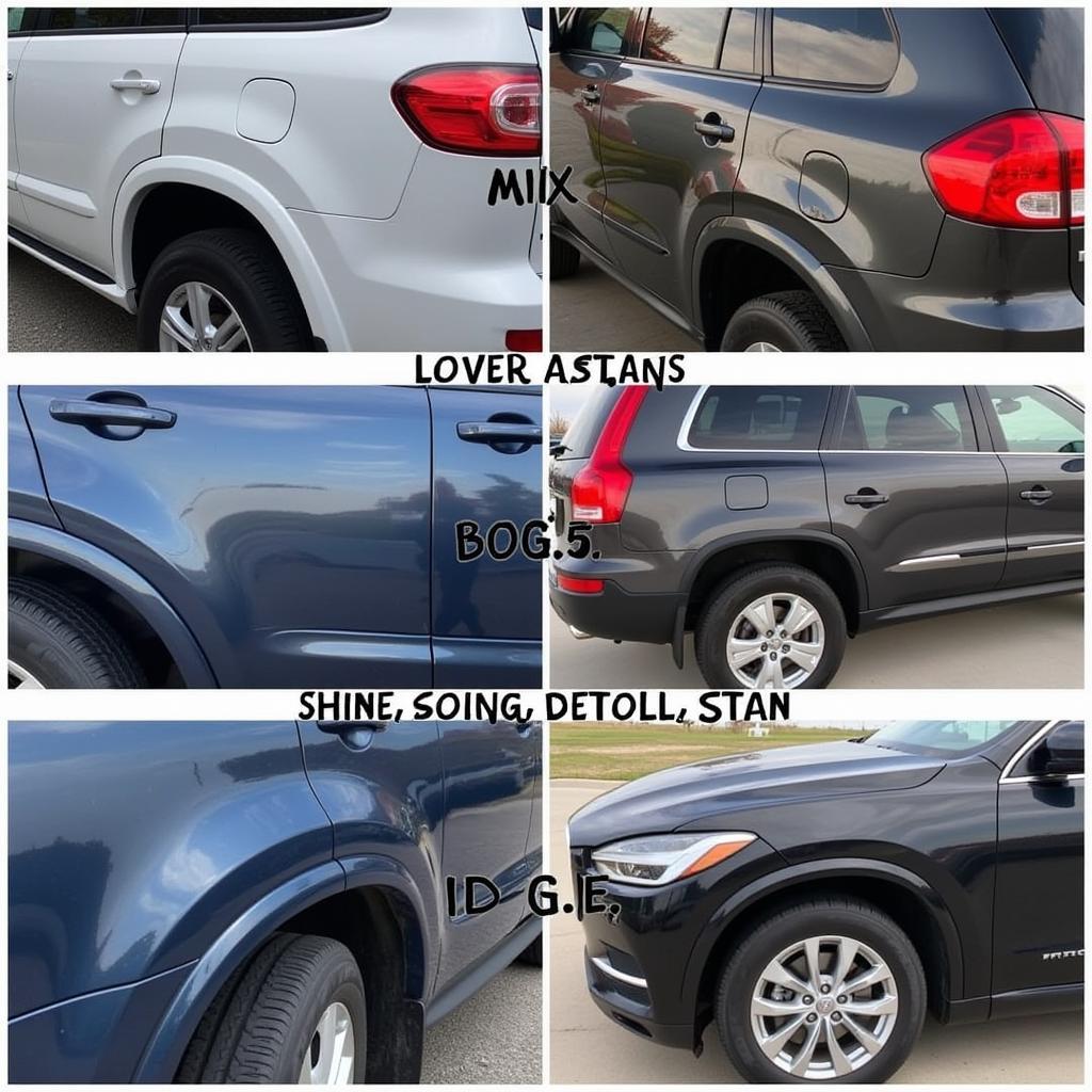 Car Detailing Challenge: Comparing Product Effectiveness