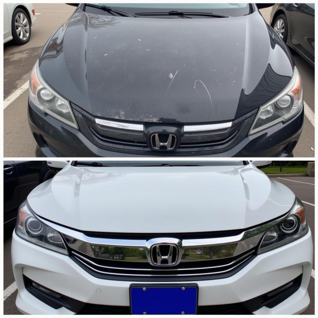 Car Detailing Transformation: Before and After