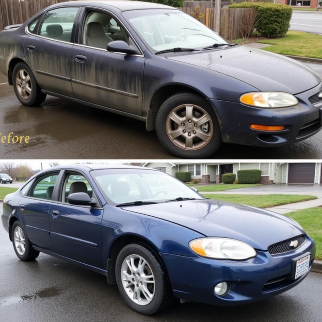 Car Detailing Dallas Oregon Results