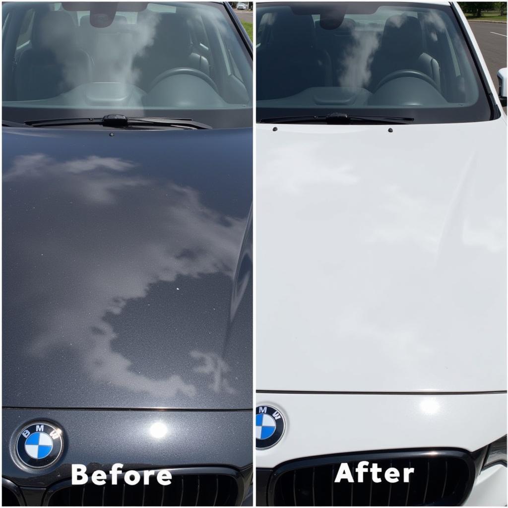 Paint Correction Dedham MA