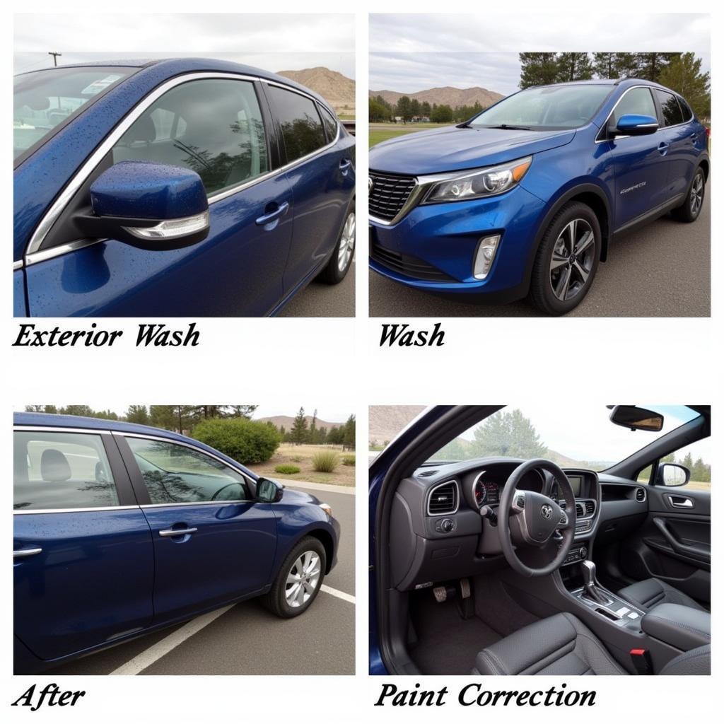 Car Detailing Services in Elko, NV