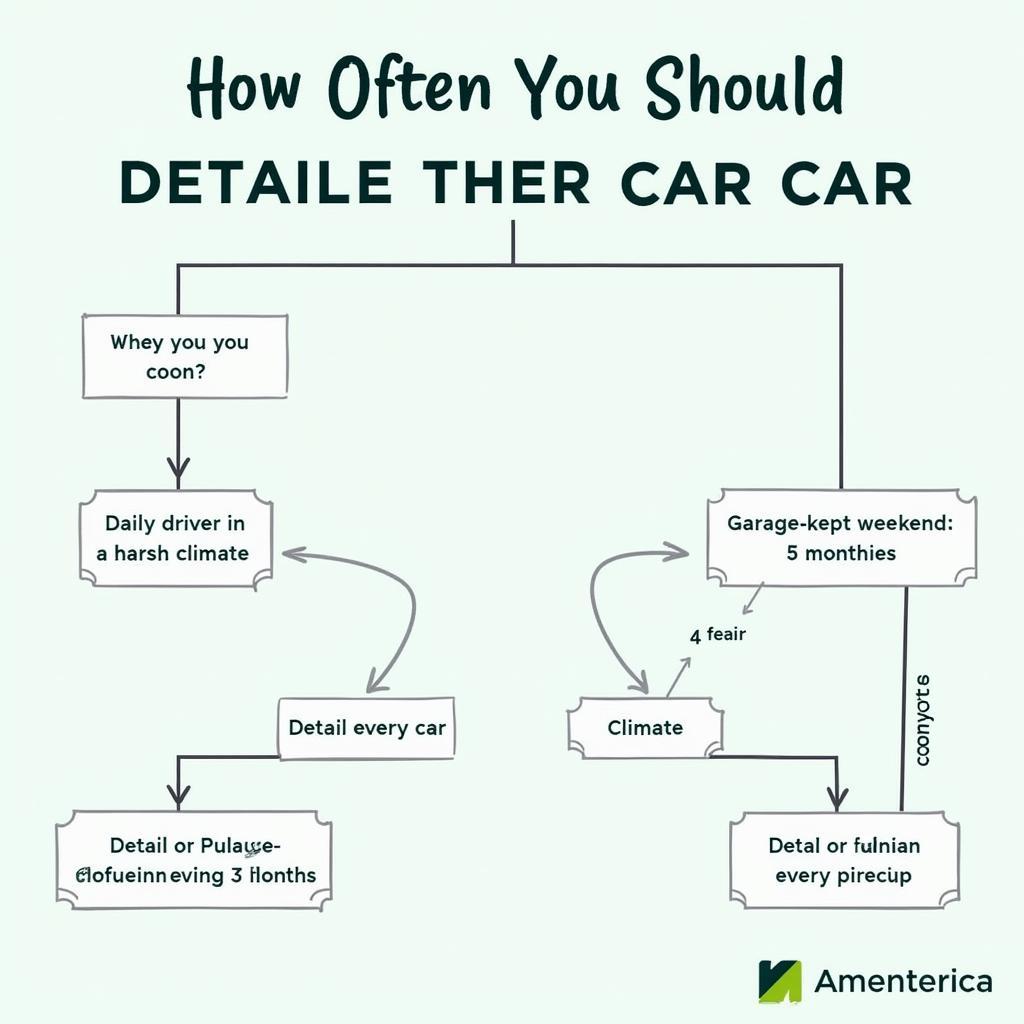 Determining Car Detailing Frequency