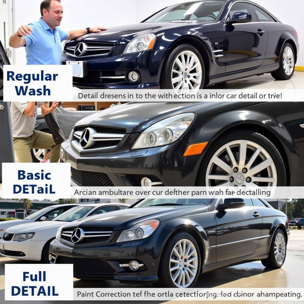 Car Detailing Frequency Recommendations: Regular Wash, Basic Detail, Full Detail