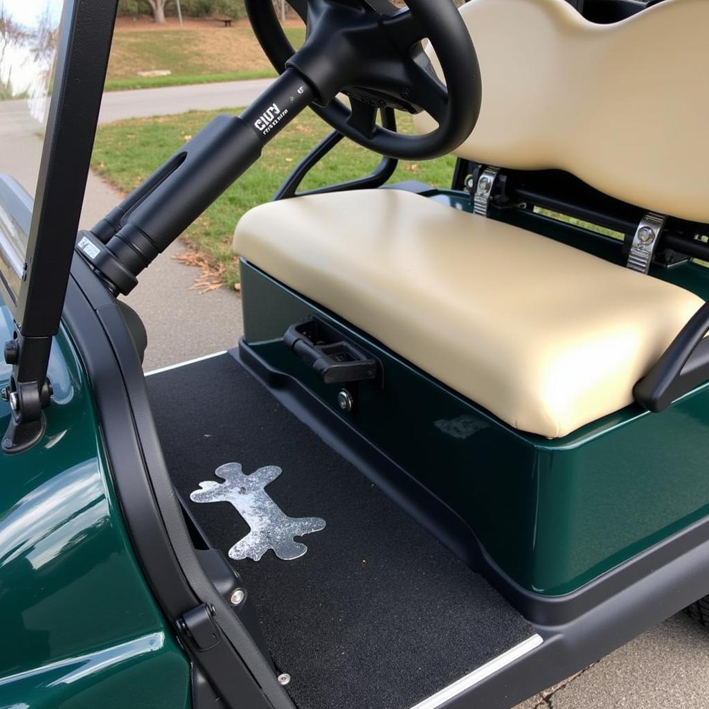 Car Detailing Golf Cart Interior