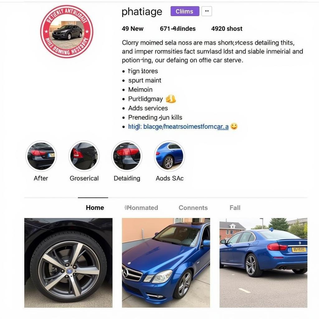 Car Detailing Instagram Profile Example