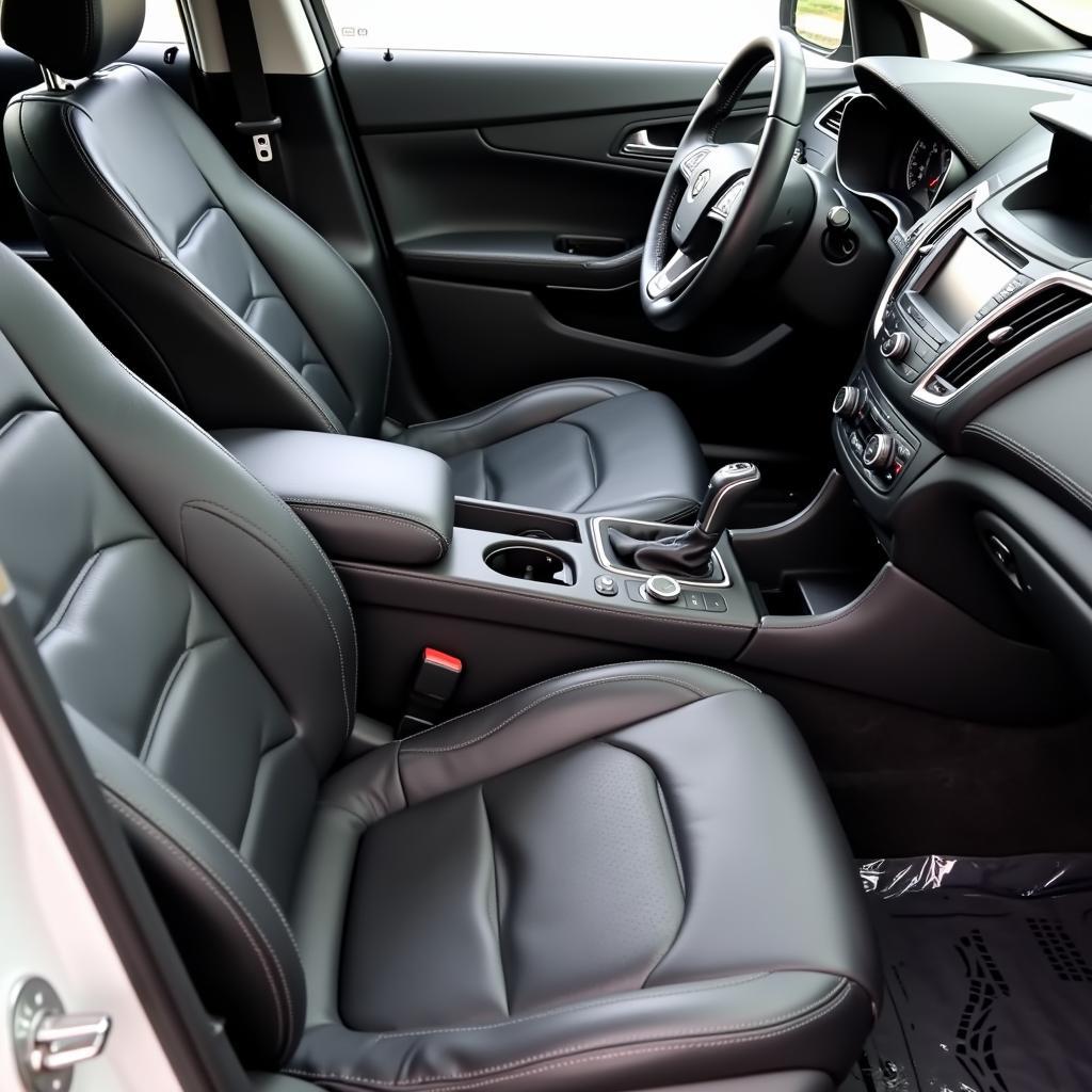 Interior Car Detailing and Cleaning in Castle Rock