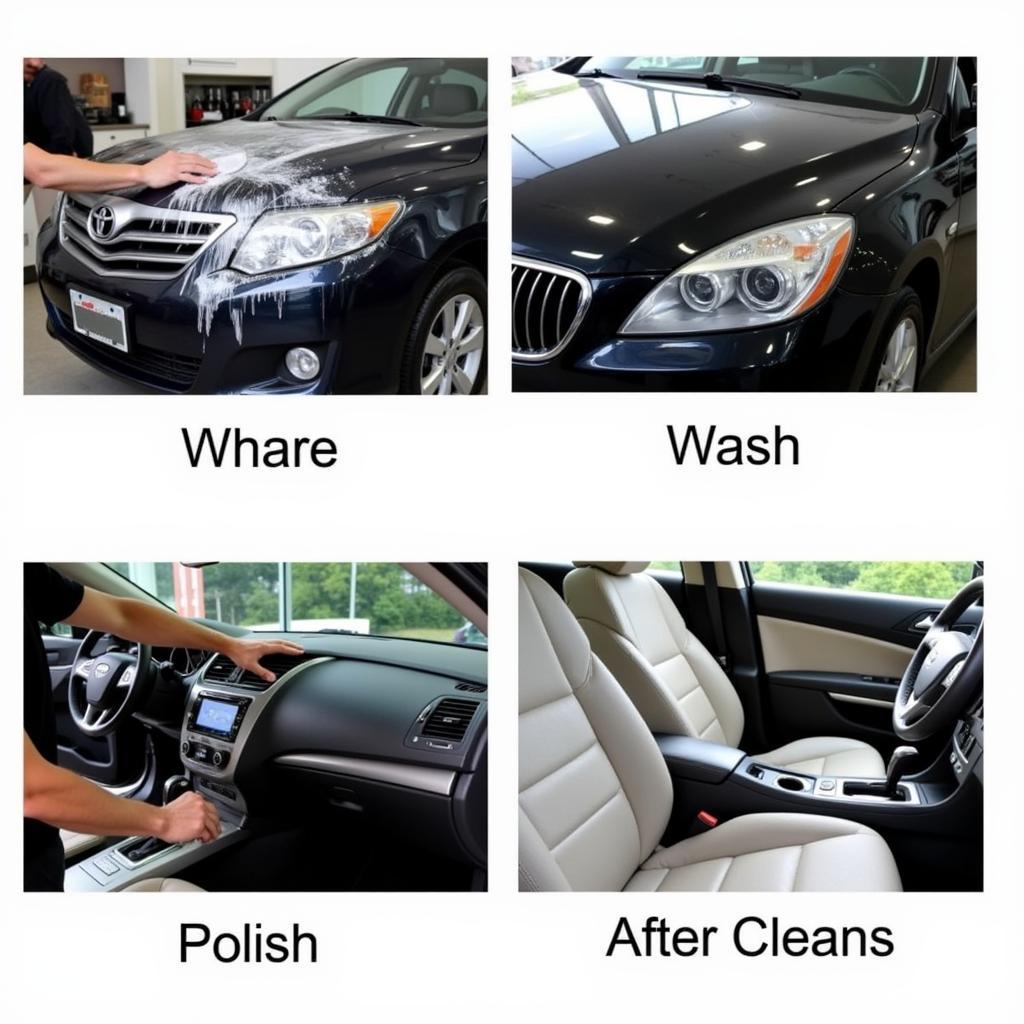 Different Types of Car Detailing Services