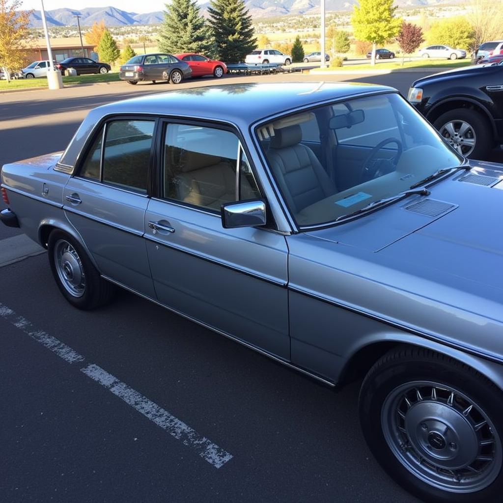 A freshly detailed car gleaming in the Lakewood, CO sunshine.