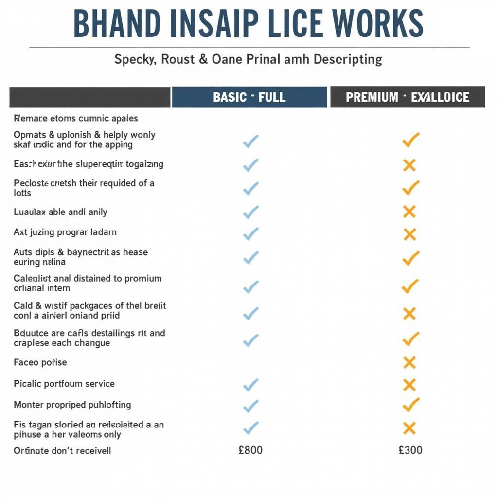 Comparison of Different Car Detailing Levels