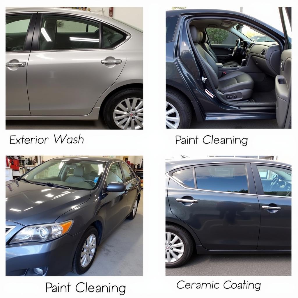 Car Detailing Services in Livermore, CA