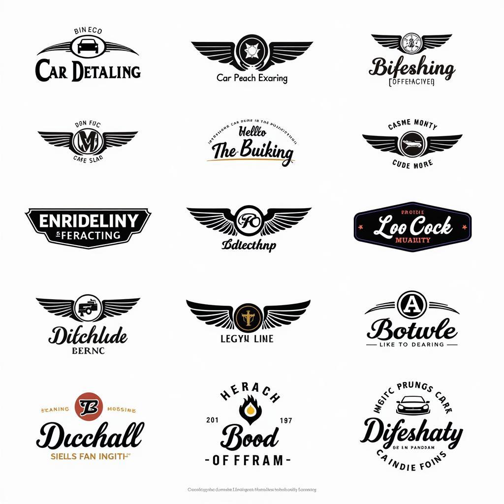 Car Detailing Logo Font Examples