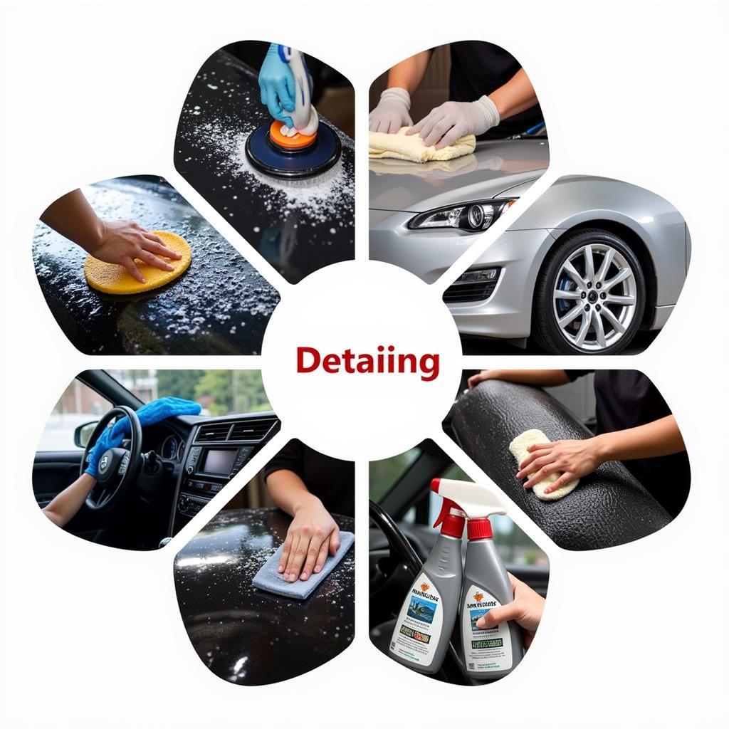 Maintaining Your Car's Detail