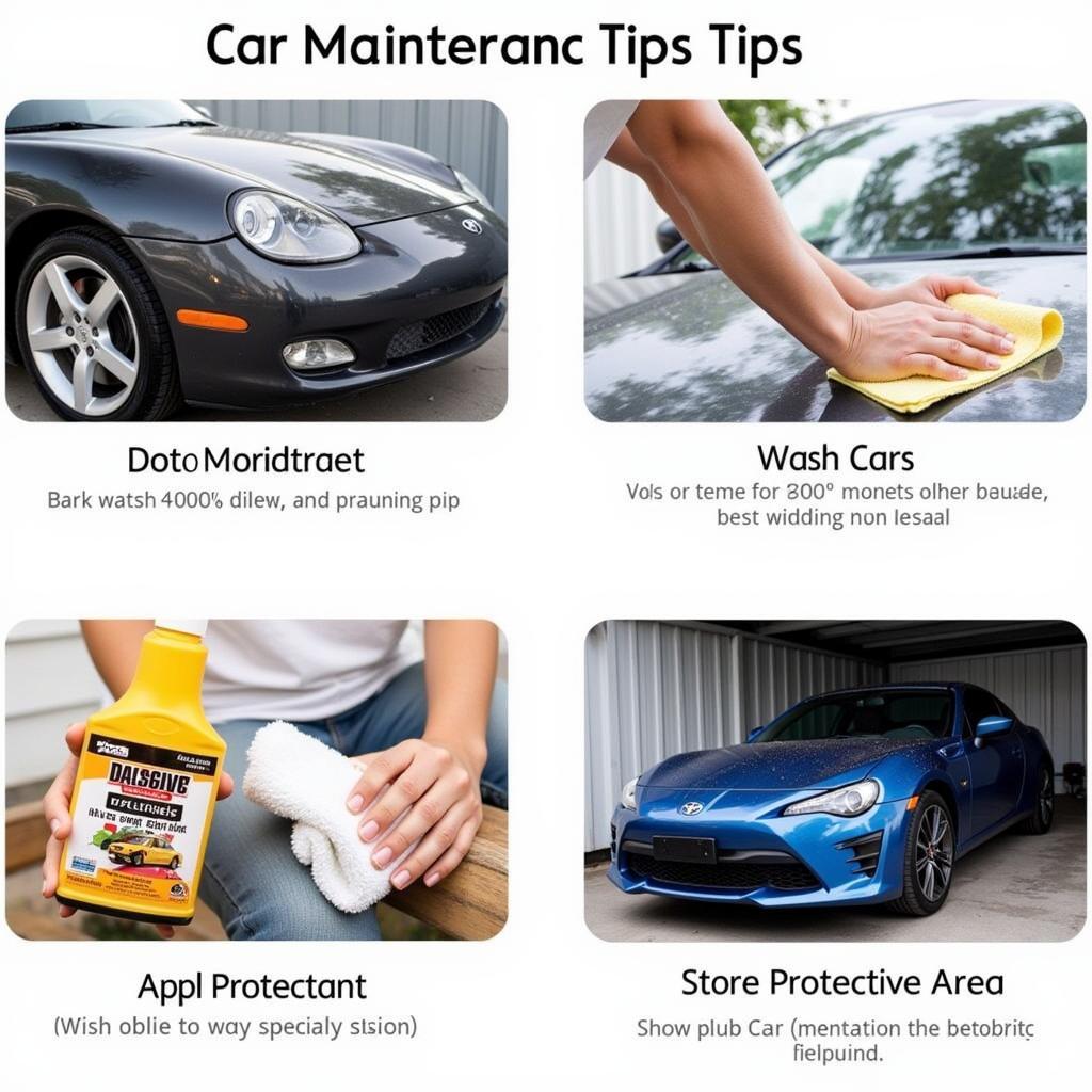 Car Detailing Maintenance Omaha