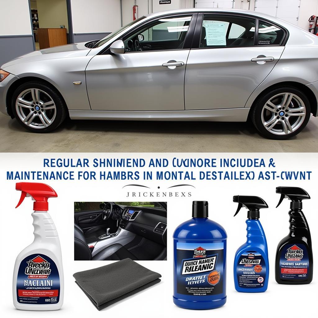 Maintaining Your Car's Detail in Tampa